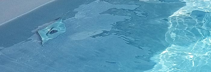 Swimming pool in the garden