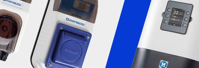 Swimming pool in the garden